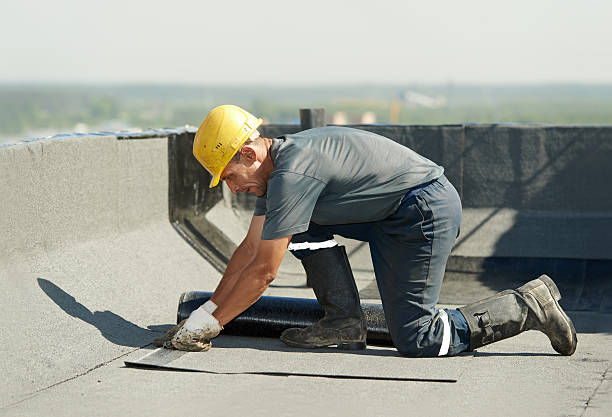 Best Geographic-Specific Insulation Services in Shadeland, IN