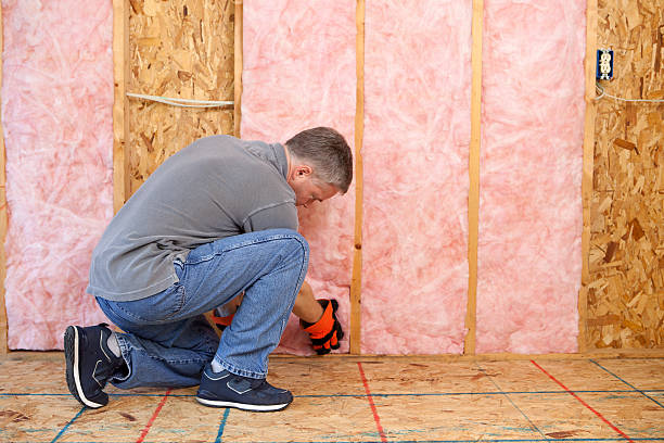 Best DIY Insulation Kits and Guidance in Shadeland, IN
