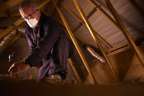 Professional Insulation Contractor in Shadeland, IN